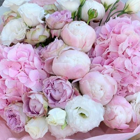 Blush Fantasy - Soft Power Revolution