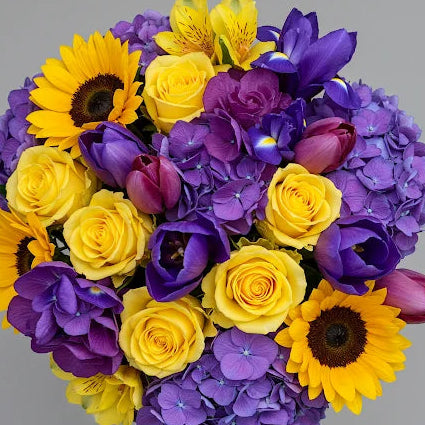 Complementary Harmony - Purple & Yellow