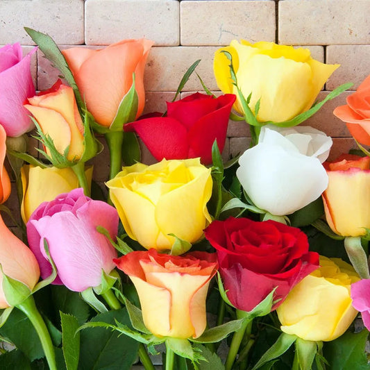 Roses - By Stem