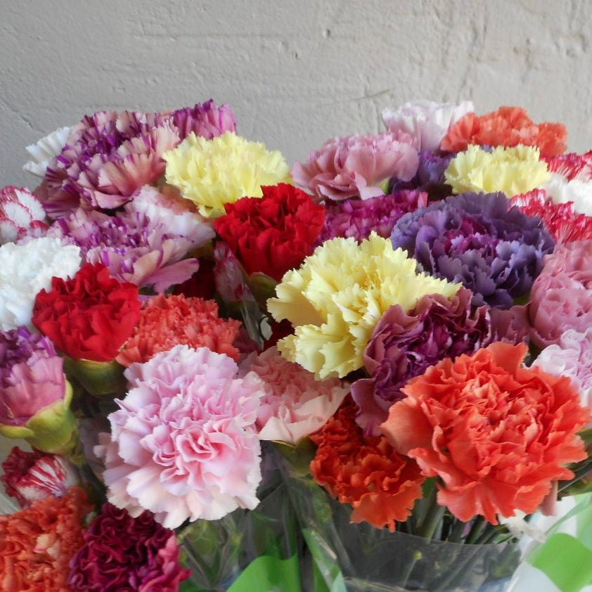Carnations - By Stem