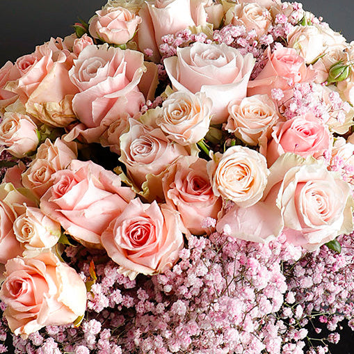 Blush Romance - Dusty Rose Dreams