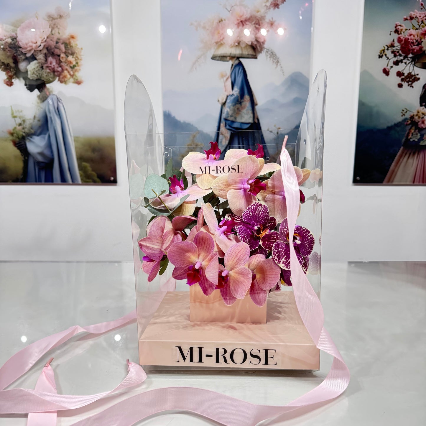 Velvet Rebellion Orchid