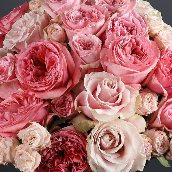 A Pounch Of Pink