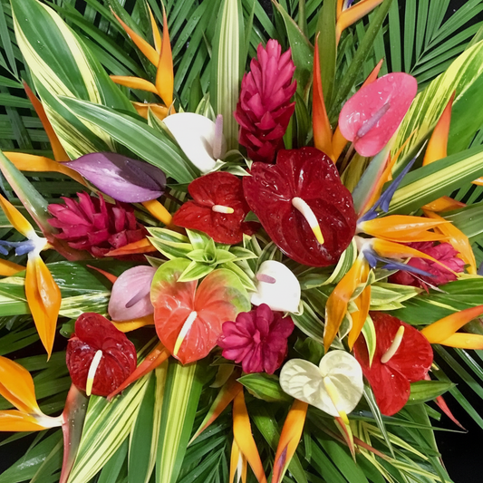 Tropical Palette Squared